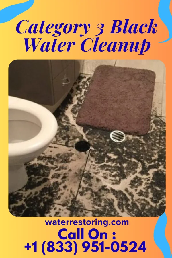 Category 3 Black Water Cleanup in Lushton, NE